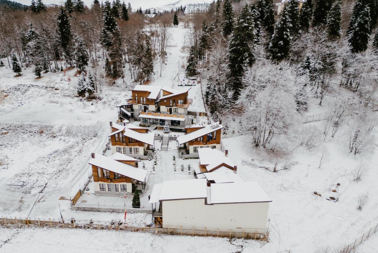 7 Cottage In バクリアニ エクステリア 写真